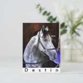 Carte Postale Destin (Debout devant)