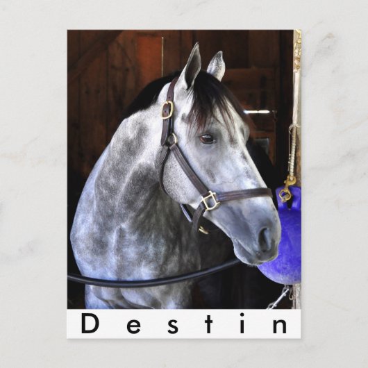 Carte Postale Destin (Devant)