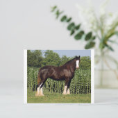 Carte Postale destin (Debout devant)