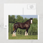 Carte Postale destin (Devant / Derrière)