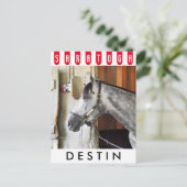 Carte Postale Destin - Corse Haven (Debout devant)