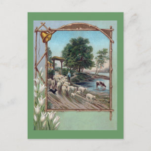 Carte Postale Destin de chien Mouton en bas du chemin