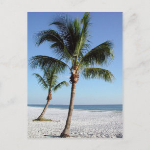 Carte Postale Destin Florida