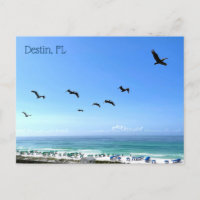 Destin Florida Pelicans Balnéaire Photographie de