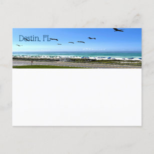 Carte Postale Destin Florida Pelicans Balnéaire Photographie de 