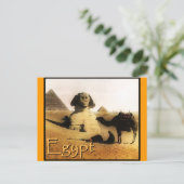 Carte Postale Destinations exotiques : Egypte (Debout devant)