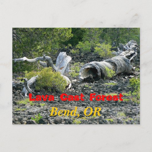 Carte Postale Destruction tordue (Devant)