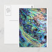 Carte Postale Détail de la coquille de Paua (Devant / Derrière)