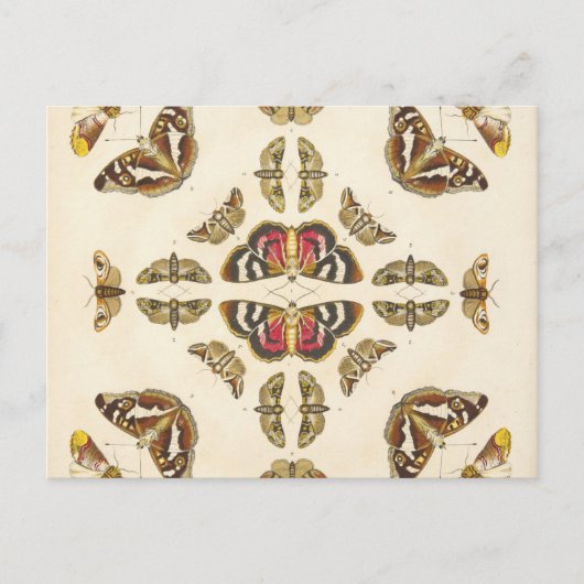 Carte Postale Détail de la plaque VI (Devant)