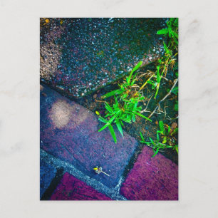 Carte Postale Détail de texture à Covington Géorgie