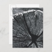 Carte Postale Détail du grain (Devant / Derrière)