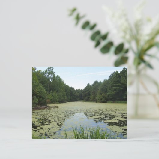 Carte postale d'étang (Debout devant)