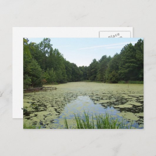 Carte postale d'étang (Devant / Derrière)