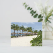 Carte Postale Détente à Cozumel (Debout devant)