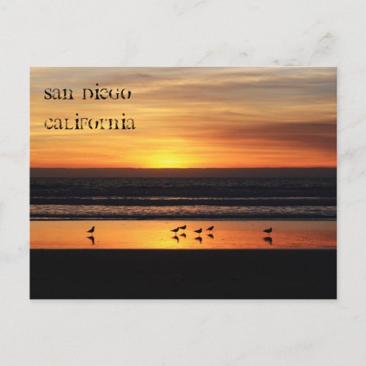 Carte Postale Détente à San Diego (Devant)