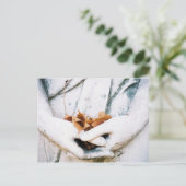 Carte Postale Détention (Debout devant)