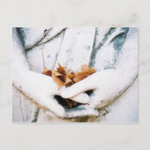 Carte Postale Détention (Devant)