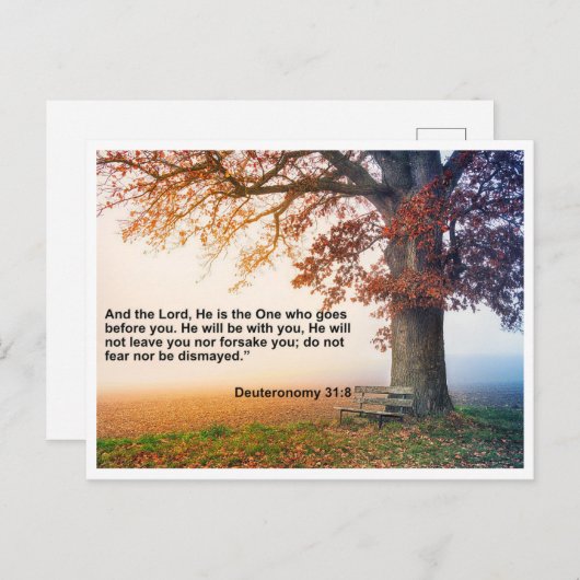 Carte Postale Deutéronome 31:8 - Vous n'êtes JAMAIS seul (Devant / Derrière)