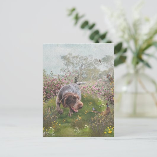 Carte Postale Deutsch Drahthaar (Debout devant)