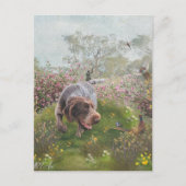 Carte Postale Deutsch Drahthaar (Devant)