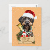 Carte Postale Deutsch Drahthaar, Joyeux Noël ! Bouton magnétique (Devant / Derrière)