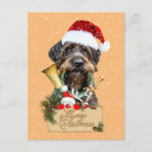 Carte Postale Deutsch Drahthaar, Joyeux Noël ! Bouton magnétique (Devant)