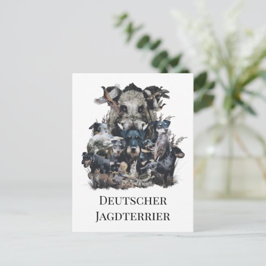 Carte Postale Deutscher Jagdterrier (Debout devant)