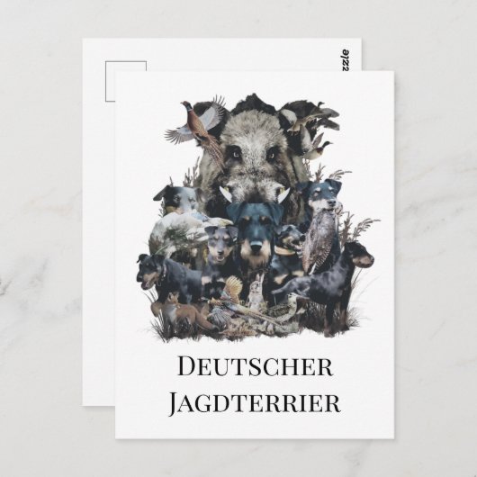 Carte Postale Deutscher Jagdterrier (Devant / Derrière)