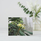 Carte Postale Deux abeilles (Debout devant)