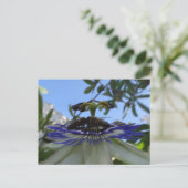 Carte Postale Deux abeilles sur Passion Flower do-it-yourself ca (Debout devant)