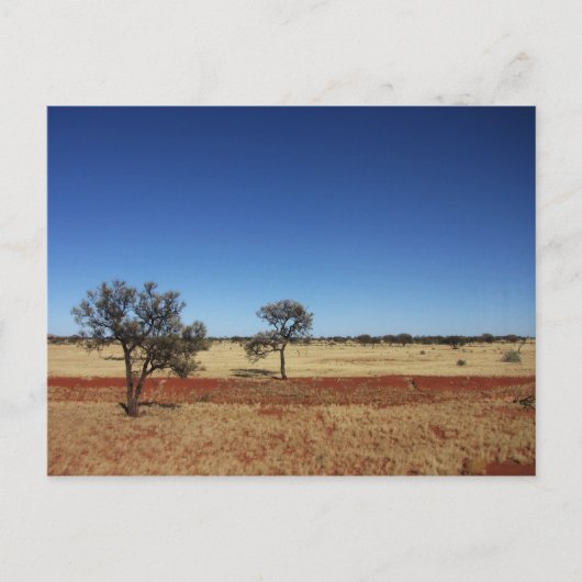 Carte Postale Deux arbres (Devant)