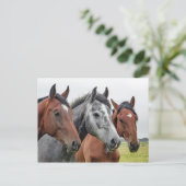 Carte Postale Deux baies et un gris, trois chevaux dans une rang (Debout devant)