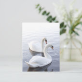 Carte Postale Deux bains nager sur le lac Tranquil (Debout devant)