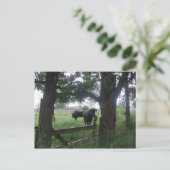 Carte Postale deux beautés noires (Debout devant)