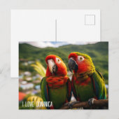 CARTE POSTALE DEUX BEAUX PARROTS DE DOMINICA (Devant / Derrière)