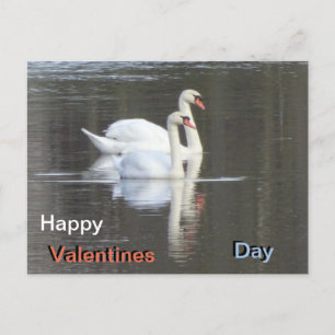 Carte Postale Deux belles valentines Swans