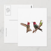 CARTE POSTALE DEUX BIJOUX DE VOL (Devant / Derrière)