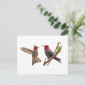 CARTE POSTALE DEUX BIJOUX DE VOL (Debout devant)