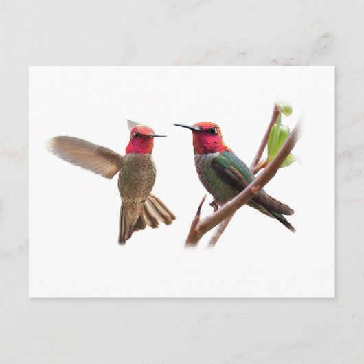 CARTE POSTALE DEUX BIJOUX DE VOL (Devant)