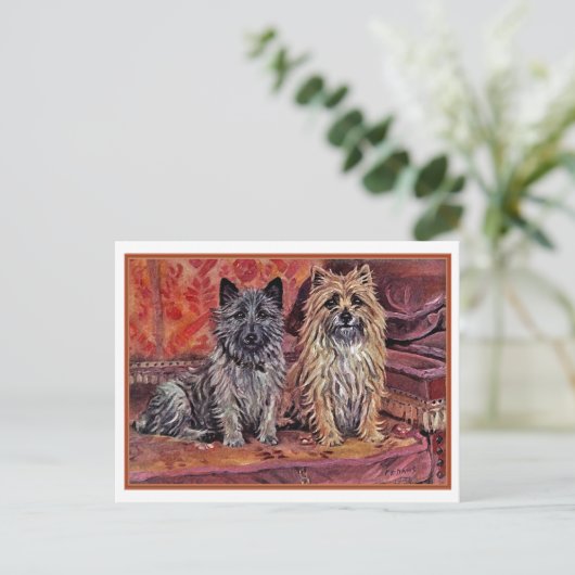 Carte Postale Deux Cairn Terriers (Debout devant)