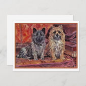 Carte Postale Deux Cairn Terriers (Devant / Derrière)