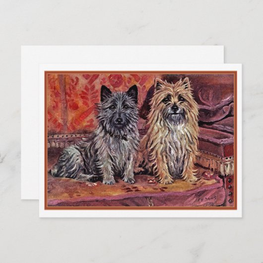 Carte Postale Deux Cairn Terriers (Devant / Derrière)