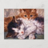 Carte Postale Deux chatons à bascule par Henriëtte Ronner-Knip (Devant)