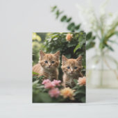 Carte Postale Deux Chatons À Gingembre À La Découverte D'Un Jard (Debout devant)