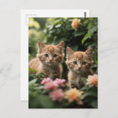 Carte Postale Deux Chatons À Gingembre À La Découverte D'Un Jard (Devant / Derrière)