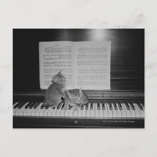 Carte Postale Deux chatons assis sur le clavier du piano par feu (Devant)