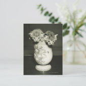 Carte Postale Deux chatons cachés dans le vase, (B&W) (Debout devant)