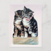 Carte Postale deux chatons chats mignonette amour adorable anima (Devant)