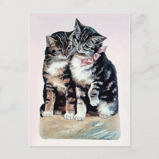 Carte Postale deux chatons chats mignonette amour adorable anima (Devant)