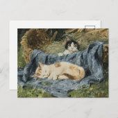 Carte Postale Deux chatons | Julius Adam le Jeune (Devant / Derrière)
